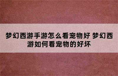 梦幻西游手游怎么看宠物好 梦幻西游如何看宠物的好坏